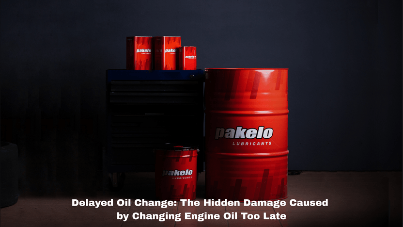 Delayed Oil Change Effects: Engine Damage & Performance Loss – Pakelo ...