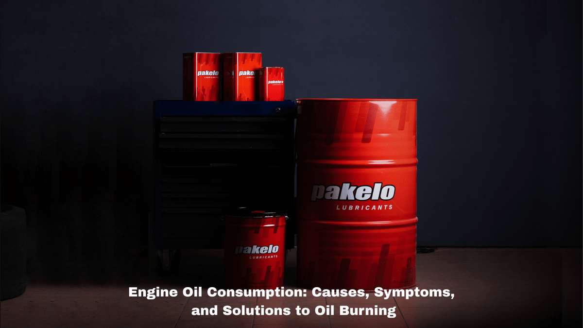 Engine Oil Consumption: Causes, Symptoms, and Solutions to Oil Burning - Pakelo India Since 1930